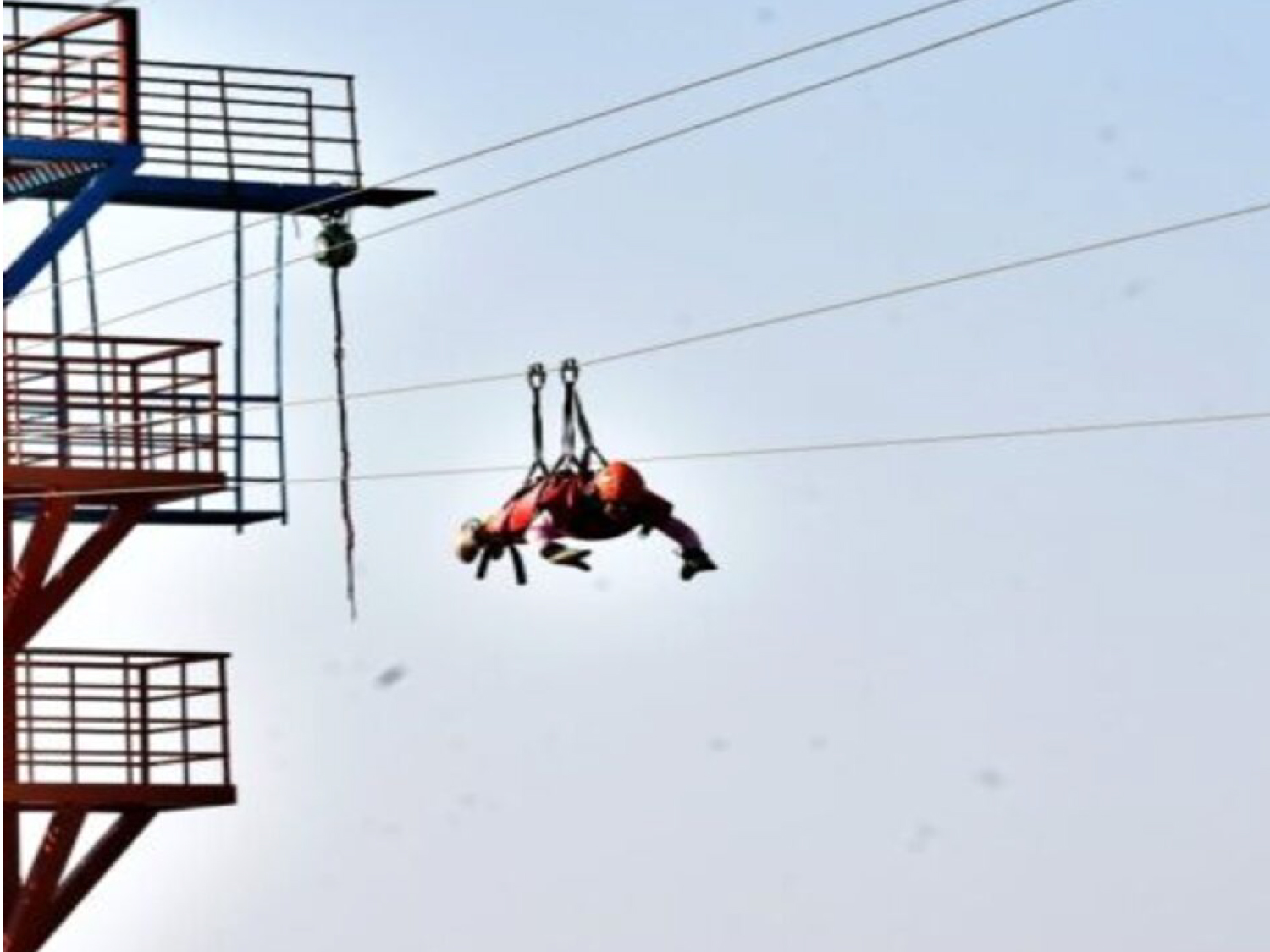 Flying Fox