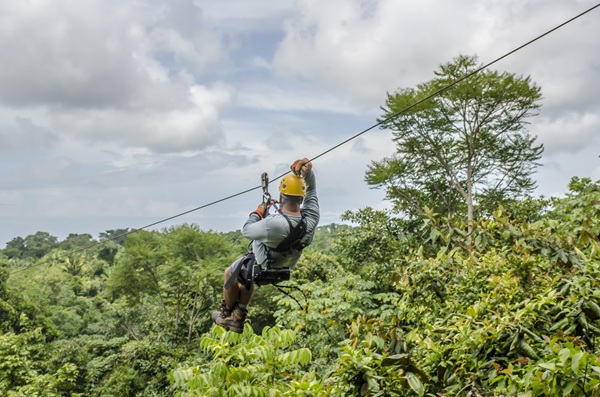 Zip Line
